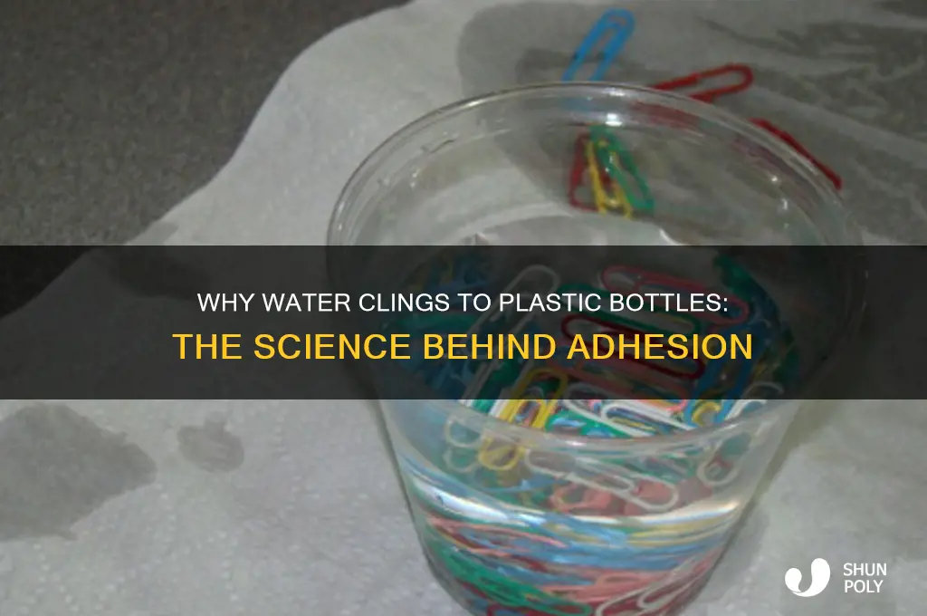 what makes water stick to the side of plastic bottle