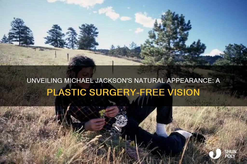 what michael jackson would look like without plastic surgery