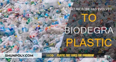Plastic-Eating Microbes: Nature's Solution to Pollution