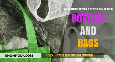 Banning Plastic Bottles and Bags: Environmental Impact and Sustainable Alternatives