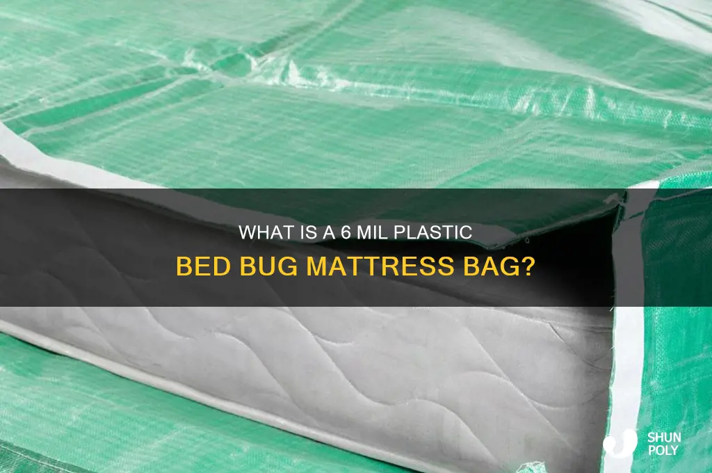what mil plastic bed bug mattress bag