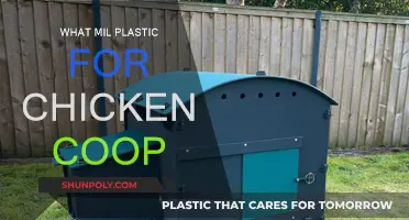 Best Plastic Sheeting for Chicken Coops