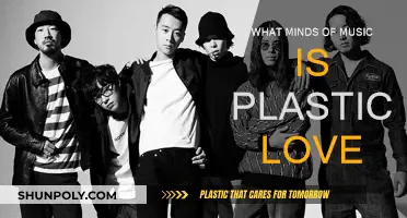 The Evolution of 'Plastic Love': A Musical Journey