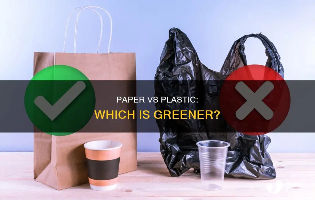 what more environmentally friendly paper or plastic