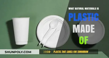 Natural Origins of Plastic: Uncovering the Organic Materials Behind Its Creation