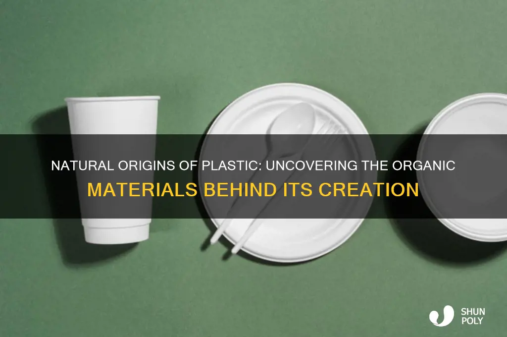 what natural materials is plastic made of