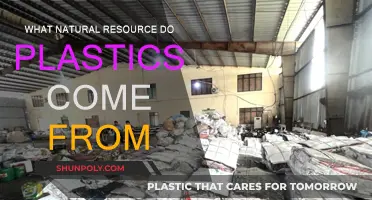 The Natural Origin of Plastics: A Resource Story
