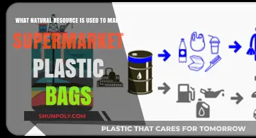 From Crude Oil to Checkout: The Origin of Plastic Bags
