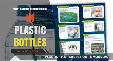 Unveiling the Surprising Natural Resources Hidden in Plastic Bottles