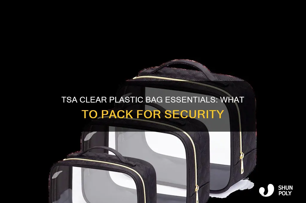 what needs to be in a clear plastic bag tsa