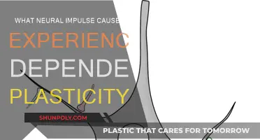 Neural Impulse and Experience-Dependent Plasticity: Unlocking the Brain's Secrets