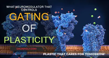Neuromodulators: Gating Plasticity's Key