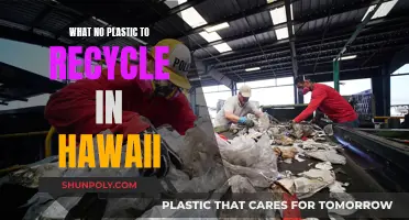 Hawaii's Plastic Problem: No Recycling, What Now?