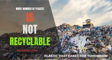 Recycling Plastic: Understanding Non-Recyclable Types