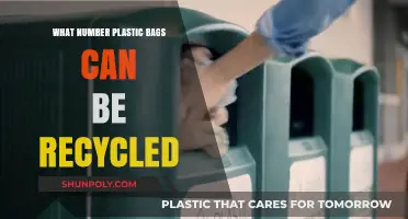 Recycling Plastic Bags: Understanding Limits and Sustainable Practices