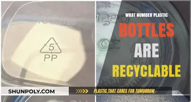 Recycling Plastic Bottles: Understanding Which Numbers Are Eco-Friendly
