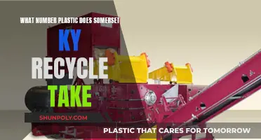 Recycling in Somerset: Understanding Plastic Numbers