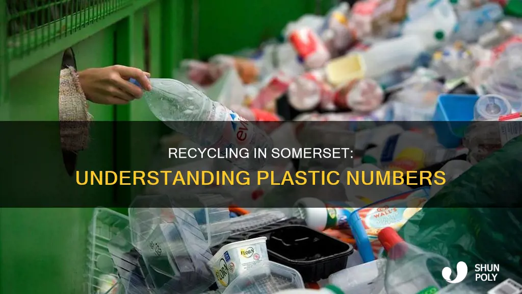 what number plastic does somerset ky recycle take