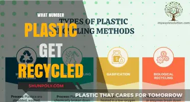 Understanding Plastic Recycling: Which Types of Plastic Are Actually Recycled?