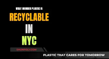 Recycling Plastics in NYC: What Types Are Accepted?