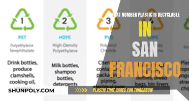 Recycling in San Francisco: Understanding Plastic Numbers