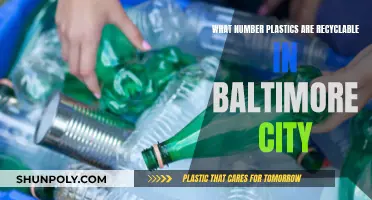 Baltimore City's Guide to Plastic Recycling