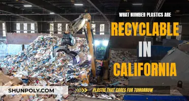 Recycling Plastics: California's Guide to Accepted Plastics