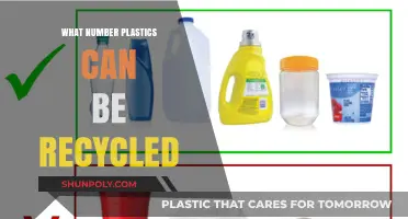 Decoding Recyclables: A Guide to Understanding Plastic Recycling Numbers