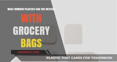 Recycling Grocery Bags: Understanding Which Plastic Types Are Accepted