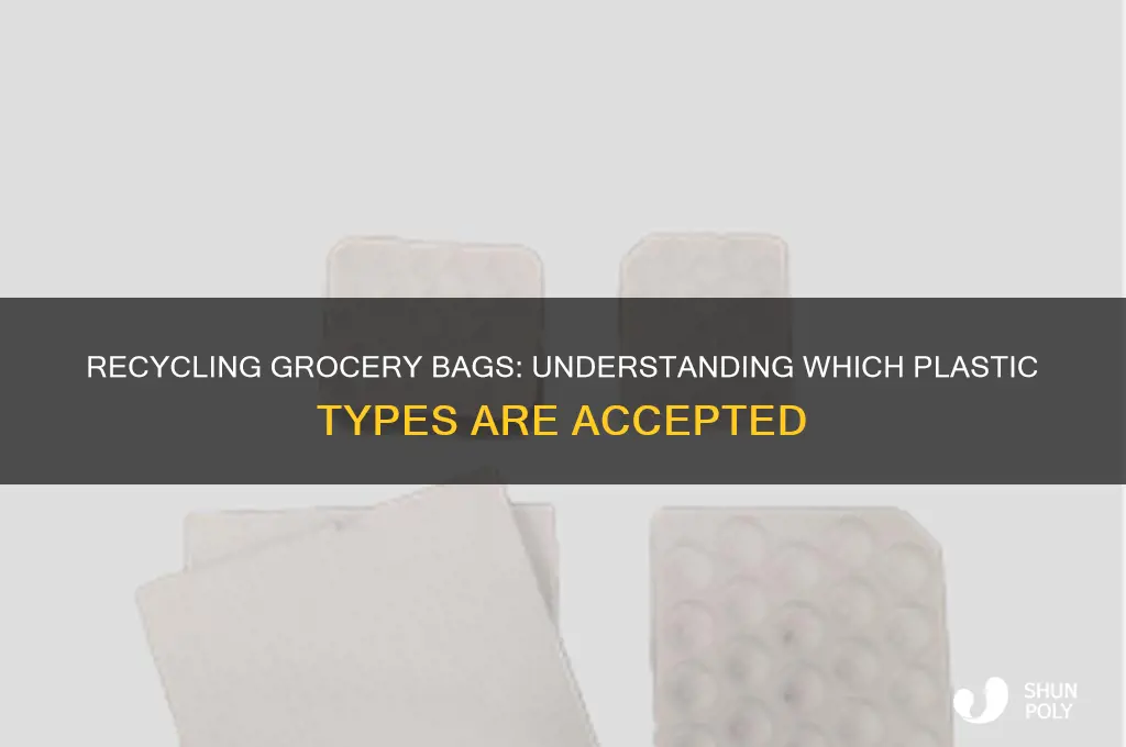 what number plastics can you recycle with grocery bags