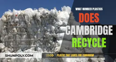 Recycling Plastics: What Numbers Does Cambridge Accept?