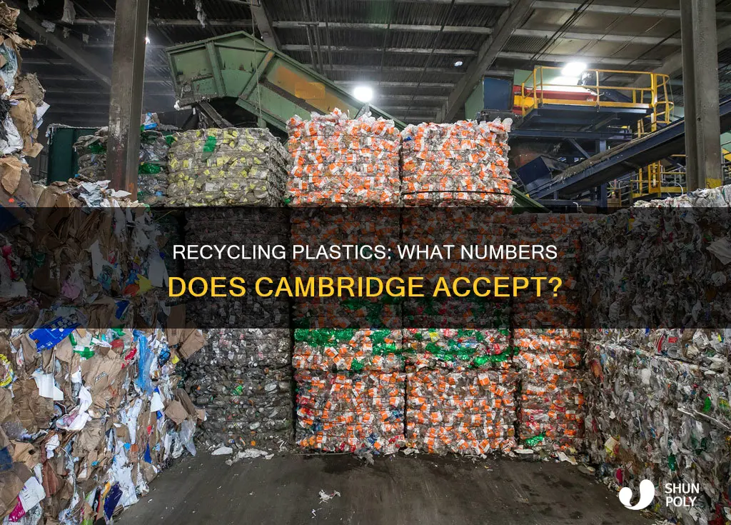 what number plastics does cambridge recycle