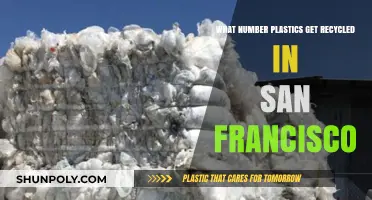 San Francisco's Plastic Recycling: Which Types Are Accepted and Processed