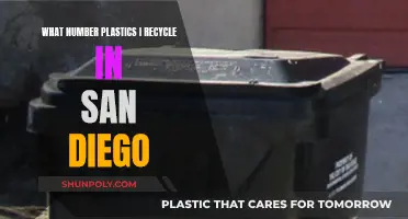 Recycling Plastics: What Types Can San Diegans Recycle?