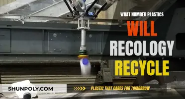 Recycling Revolution: Recology's Plastic Pledge