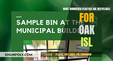 Recycling Plastics: What Numbers Are Accepted on Oak Isl?