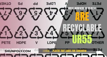 Recycling Plastic: What Numbers Are Recyclable?