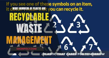 Recycling Plastic Waste: Understanding the Numbers for Effective Management
