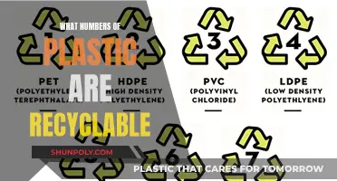 Unraveling the Mystery: Which Plastics Can Be Recycled?