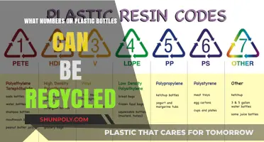 Decoding Plastic Bottle Recycling: Understanding Recyclable Numbers and Symbols