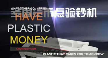 Plastic Money Around the World: Which Countries?
