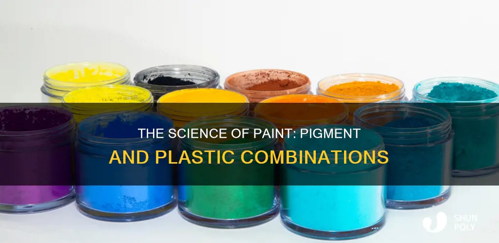 what paint contains pigment and plastic