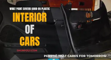 Best Paint Options for Plastic Car Interiors
