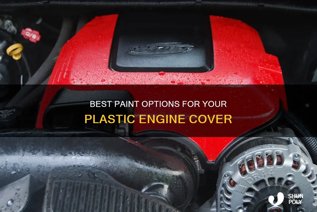what paint for plastic engine cover