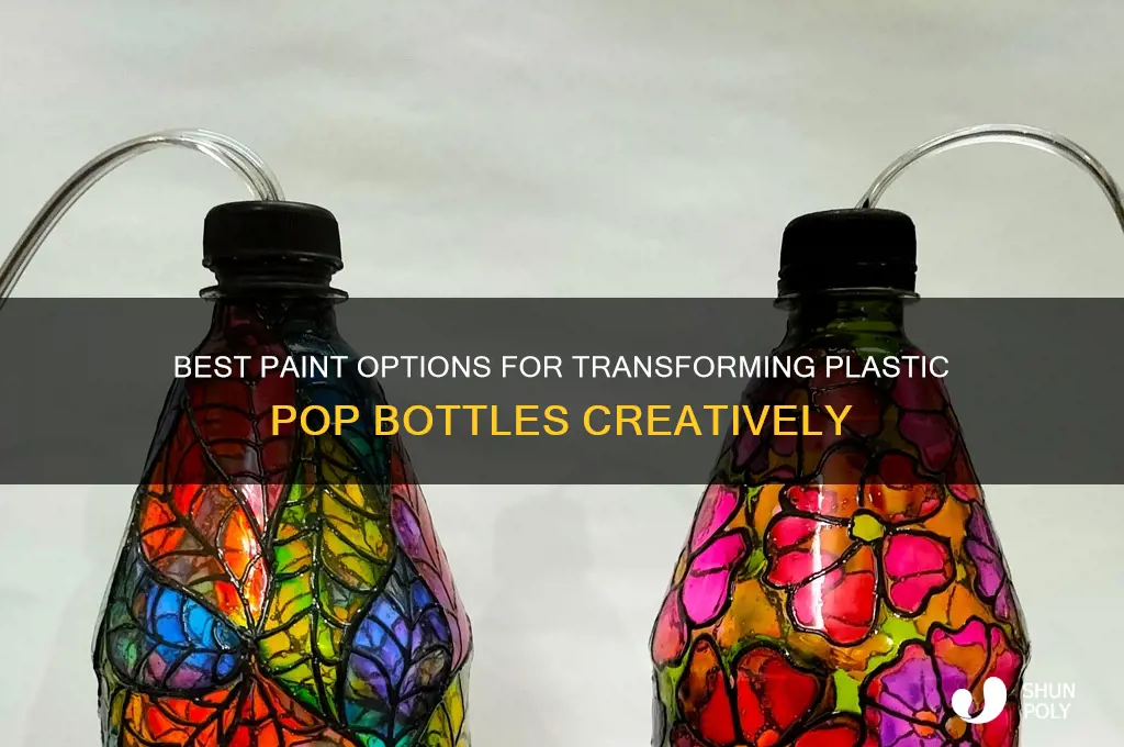 what paint is best for plastic pop bottles