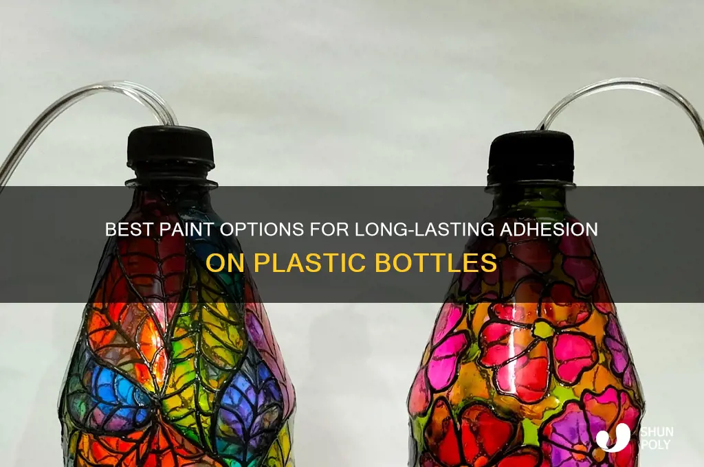 what paint stays on plastic bottles