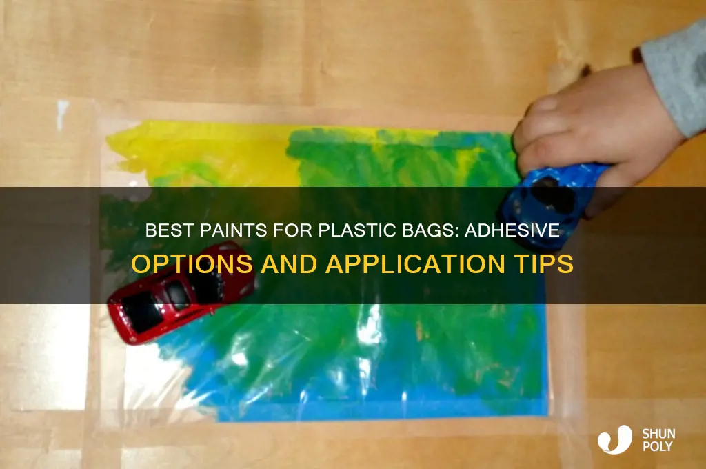 what paint sticks to plastic bags