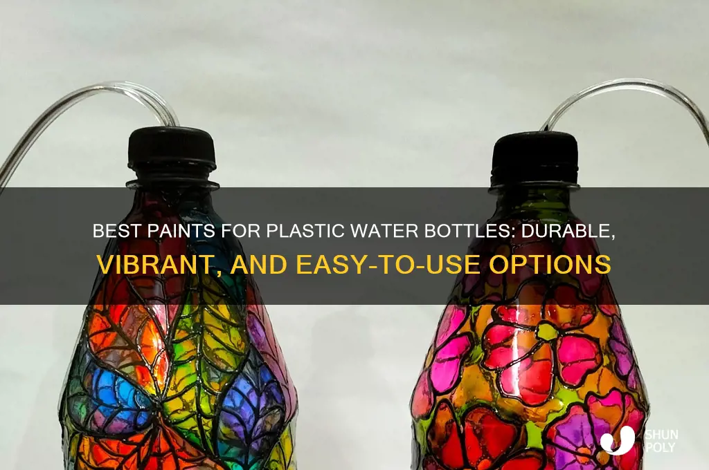 what paint sticks to plastic water bottles
