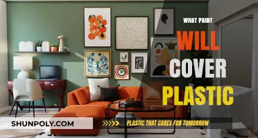 Best Paints for Plastic Surfaces: A Comprehensive Guide