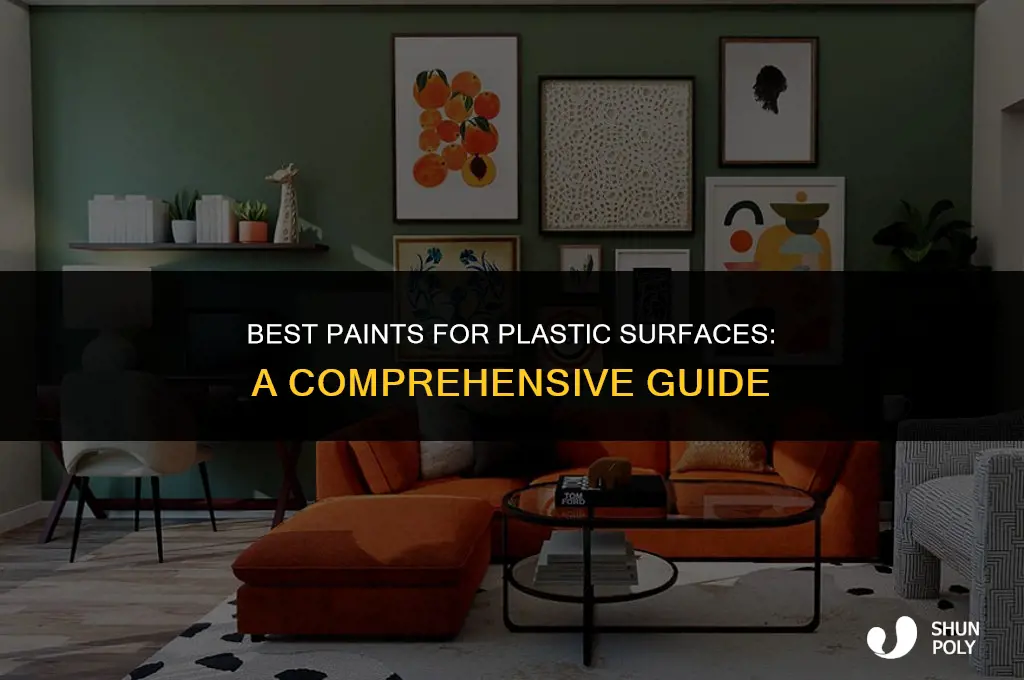 what paint will cover plastic
